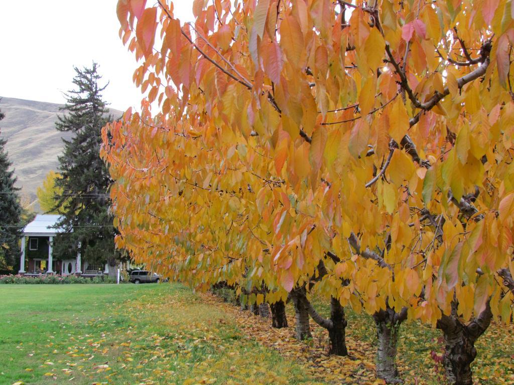 Warm Springs Inn & Winery Sunnyslope エクステリア 写真