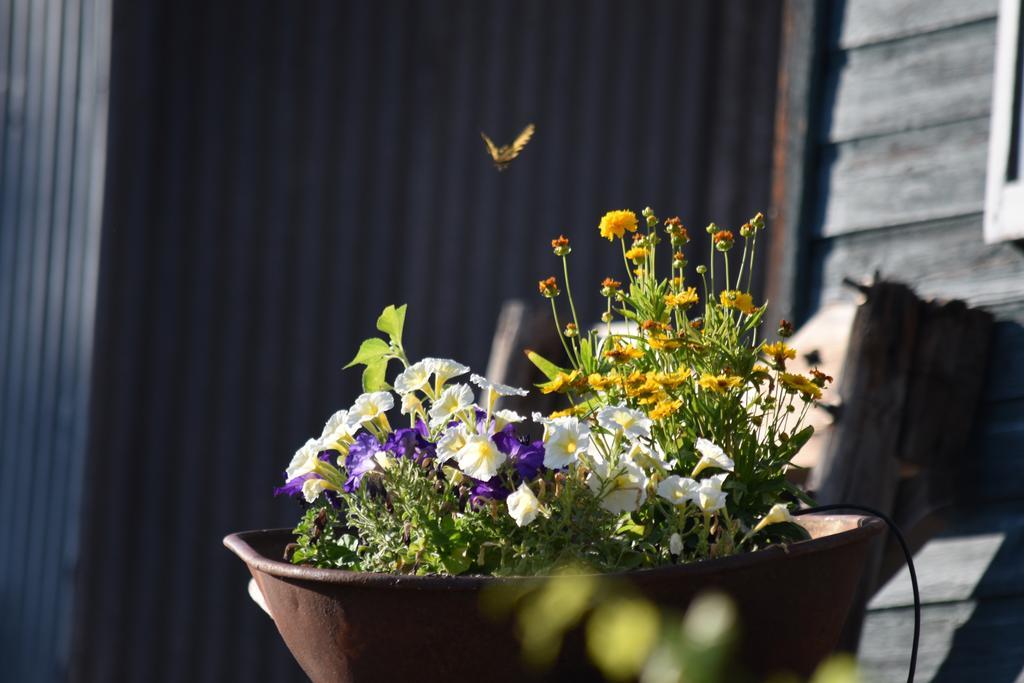 Warm Springs Inn & Winery Sunnyslope エクステリア 写真